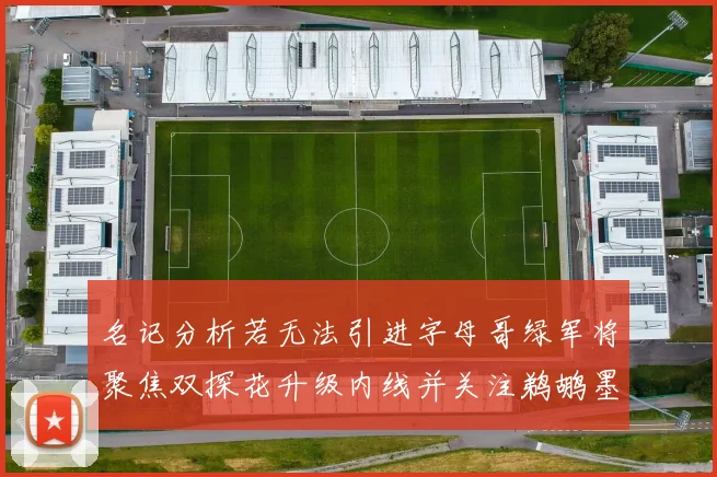 名记分析若无法引进字母哥绿军将聚焦双探花升级内线并关注鹈鹕墨菲